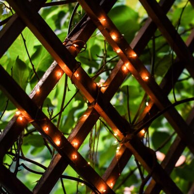 Dekoratyvines-Lemputes-vielutes-728-21-2