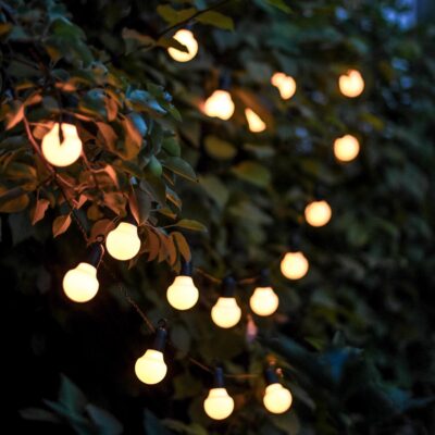 Lempuciu_girlianda_augalams_HOOKY