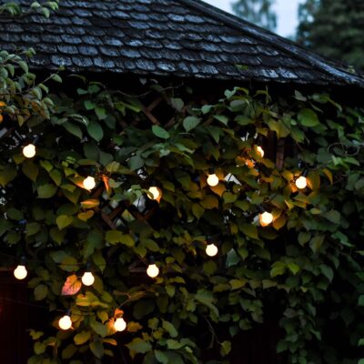 Lempuciu_girlianda_augalams_HOOKY