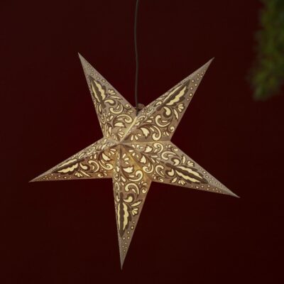 Zvaigzde-zibintas-dekoracija-kaledine-500-43_MB_001