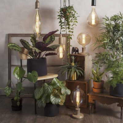 LED-lempute-vintazine-dekoratyvine-interjero-interjero-apsvietimas-HR-JPG_354-31,354-32,354-33,354-34,354-35_MB_006