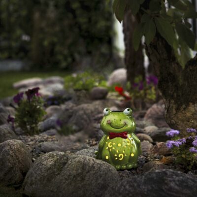 Sodo-lauko-adekoracija-zibintas-saulės-baterijos-elementai-varle_479-14_MB_002