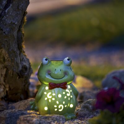 Sodo-lauko-adekoracija-zibintas-saulės-baterijos-elementai-varle_479-14_MB_003