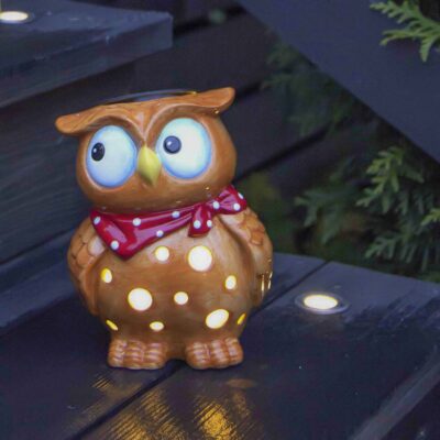 Sodo-lauko-adekoracija-zibintas-saulės-baterijos-elementai_479-12_MB_001-2