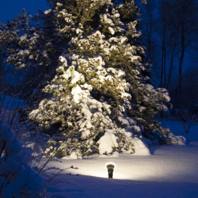 spotlight sviestuvas lauko dekoracija 356-80,418-91