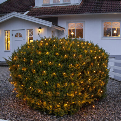 Lauko LED lempučių tinklas 3mx3m GOLDEN IP44