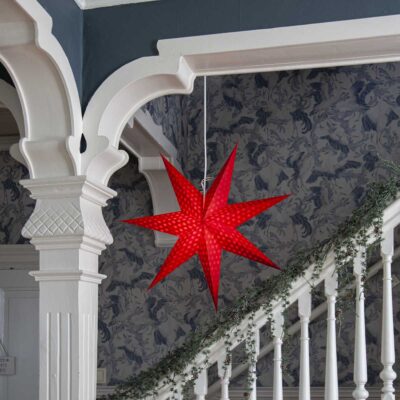 Popierinė žvaigždė CLOUD RED 60CM