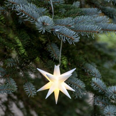 Kalėdinė lauko dekoracija su baterijomis ALICE 10CM