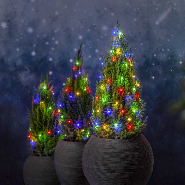 590-80,590-83_MB_003 590-80,590-83_MB_003