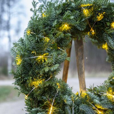 729-59_MB_001 729-59_MB_001