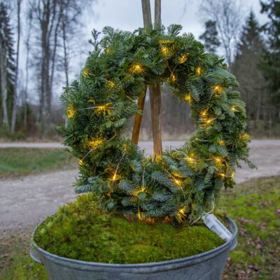 729-59_MB_003 729-59_MB_003