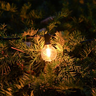 SL-E12-015-G40-BWW-50CM-5