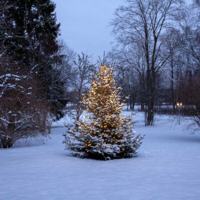 Girlianda eglutei CHRISTMAS WARM WHITE 360LED