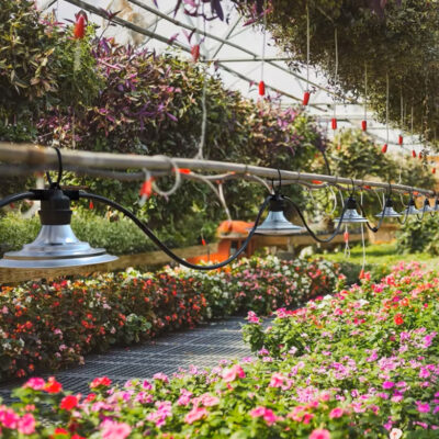 5m LED girlianda augalų auginimui GROW LIGHT, 84W